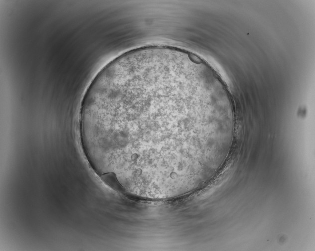 X0000103410903200810031243