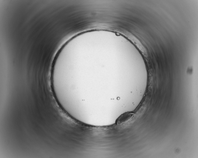 X0000103410904200810031243