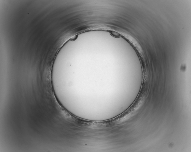 X0000103410905200810031243