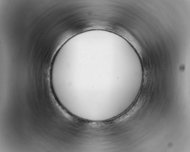 X0000103410906200810031243