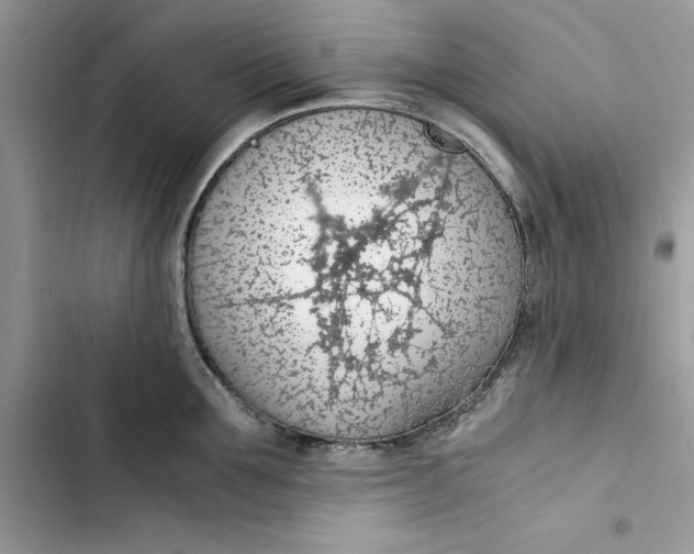 X0000103410907200810031243