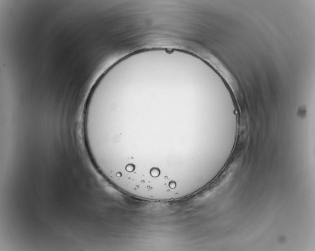 X0000103410909200810031243