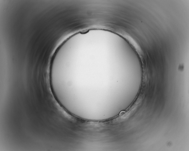 X0000103410910200810031243