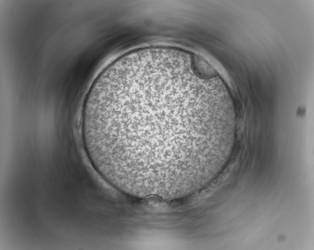 X0000103410911200810031243