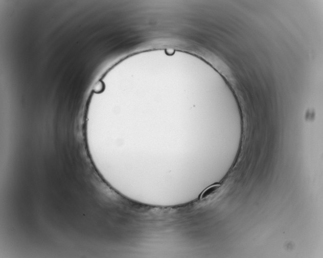 X0000103410912200810031243