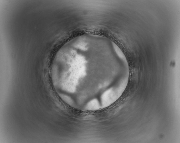 X0000103410913200810031242