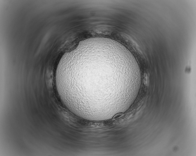 X0000103410915200810031242