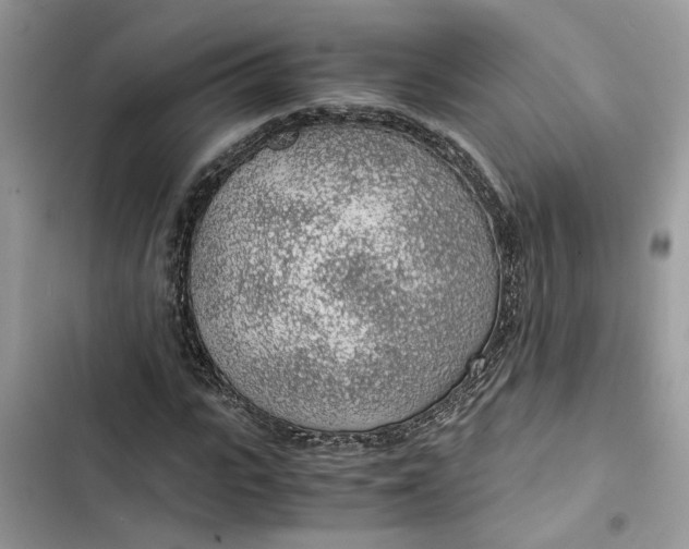 X0000103410919200810031243