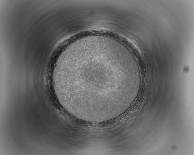 X0000103410920200810031243