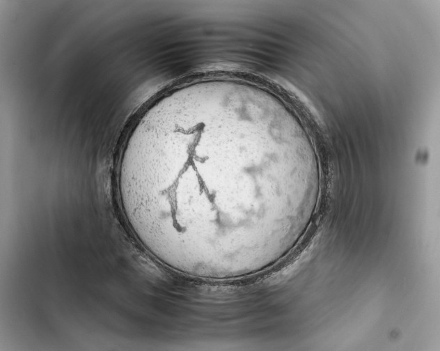 X0000103410921200810031243