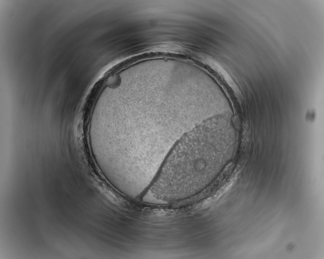 X0000103410923200810031243