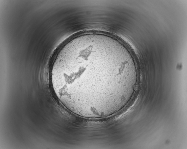 X0000103410925200810031243