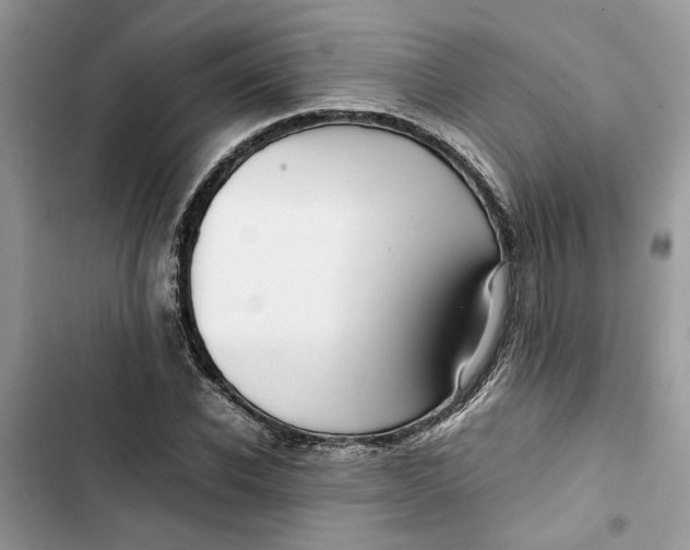 X0000103410926200810031243