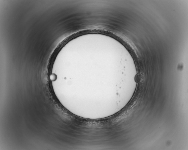 X0000103410927200810031243