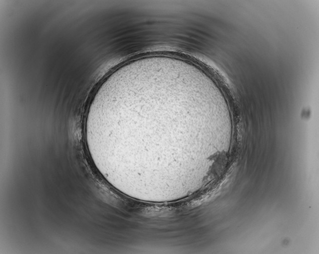 X0000103410929200810031243