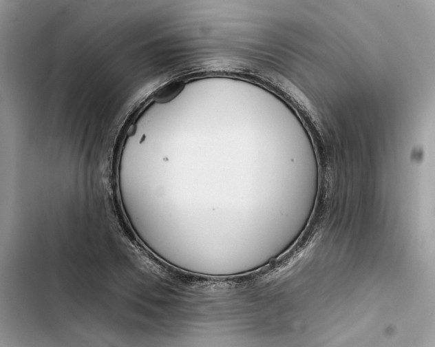 X0000103410930200810031243