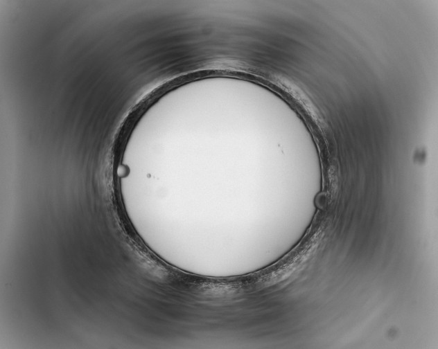 X0000103410931200810031243