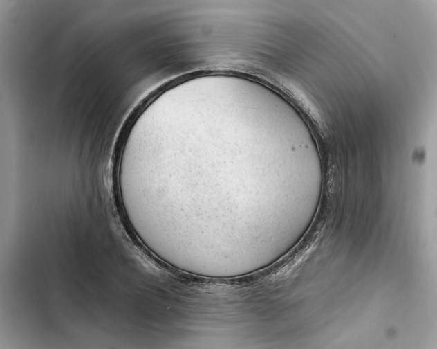 X0000103410932200810031243