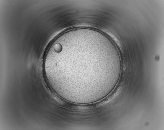 X0000103410933200810031243