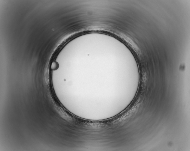 X0000103410934200810031243