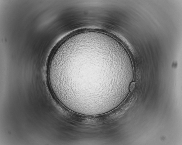 X0000103410935200810031243