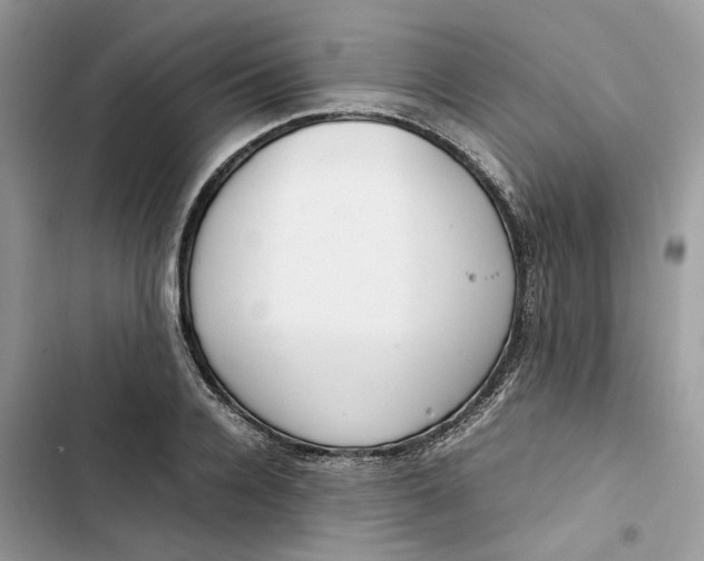 X0000103410936200810031243