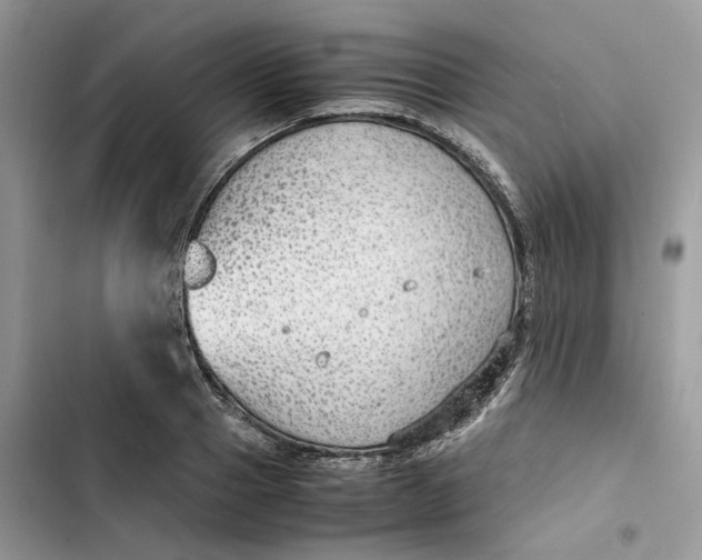 X0000103410937200810031243