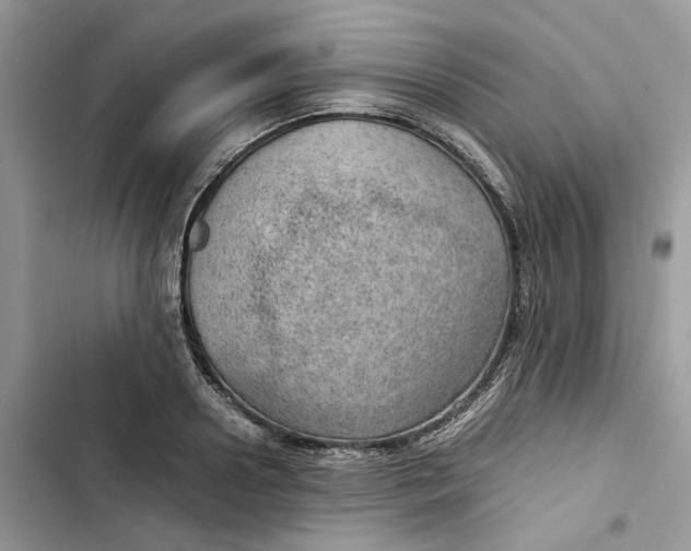 X0000103410938200810031243