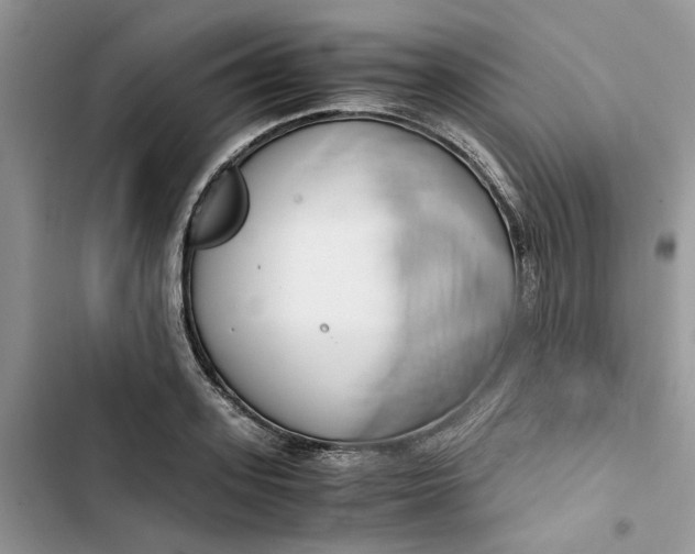 X0000103410939200810031243