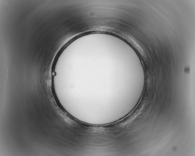 X0000103410940200810031243