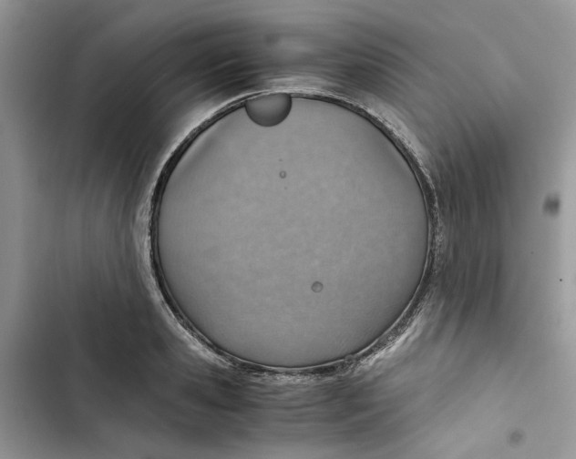 X0000103410941200810031243