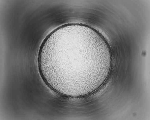 X0000103410943200810031243