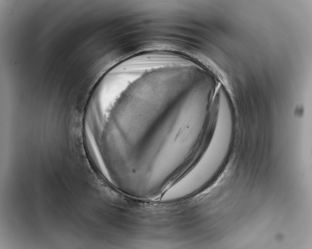 X0000103410945200810031243