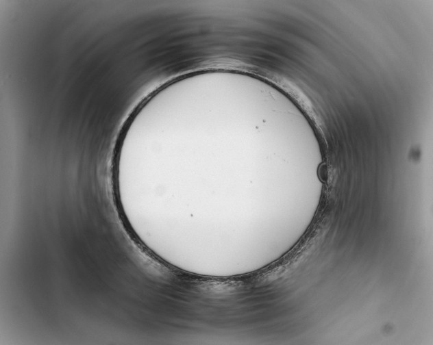 X0000103410947200810031243