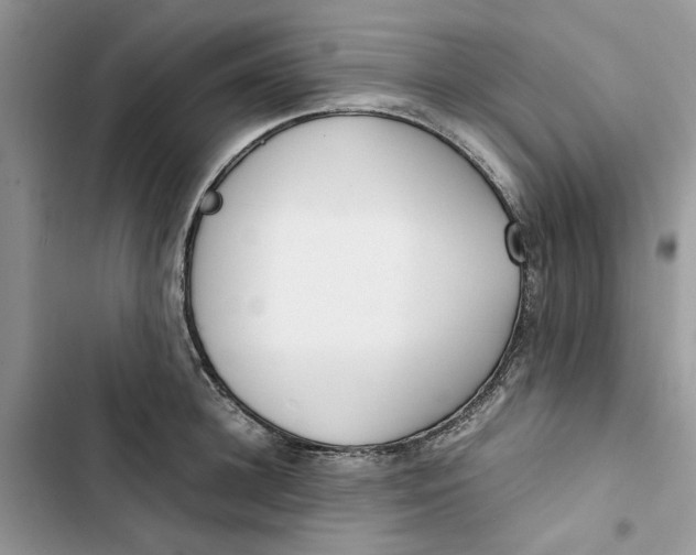 X0000103410948200810031243