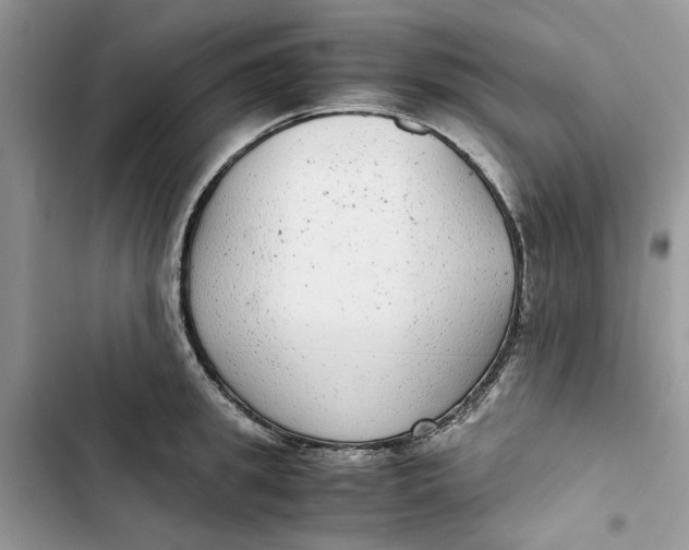 X0000103410949200810031243