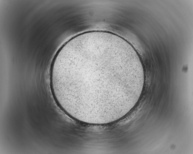 X0000103410950200810031243