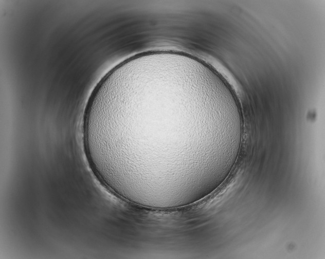 X0000103410951200810031243