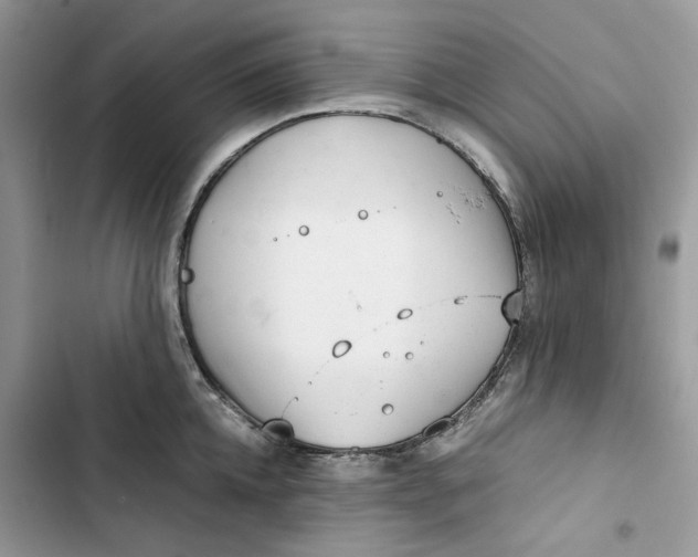 X0000103410952200810031243