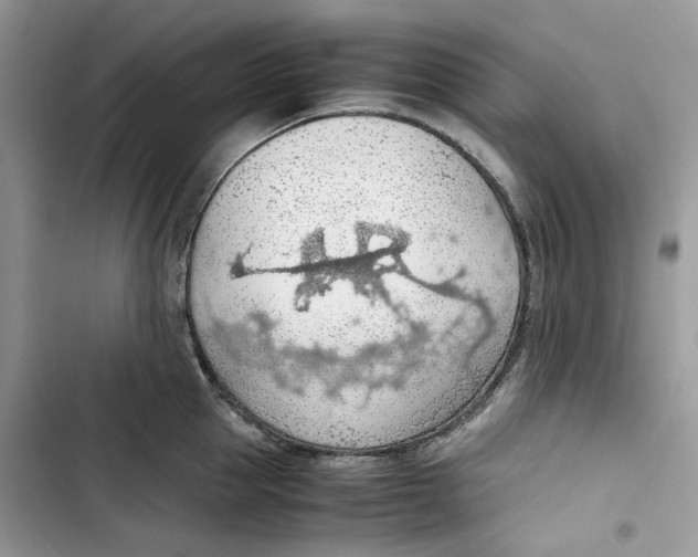 X0000103410953200810031243