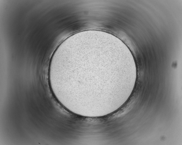 X0000103410954200810031243