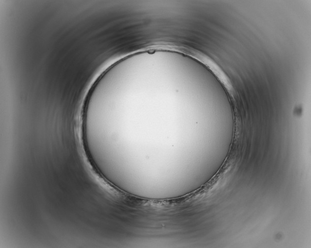 X0000103410955200810031243