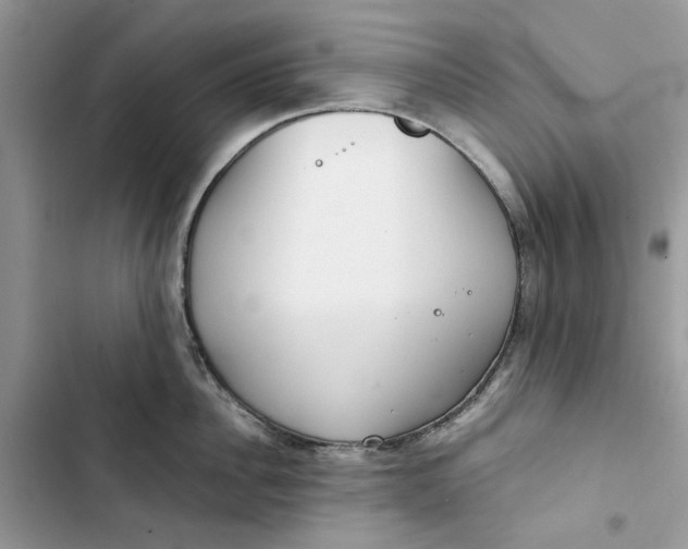 X0000103410956200810031243