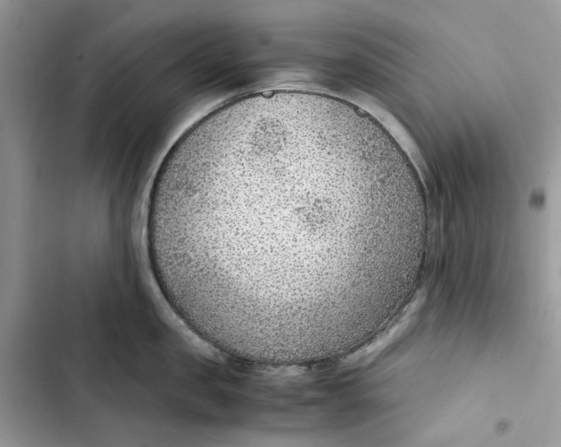 X0000103410957200810031243