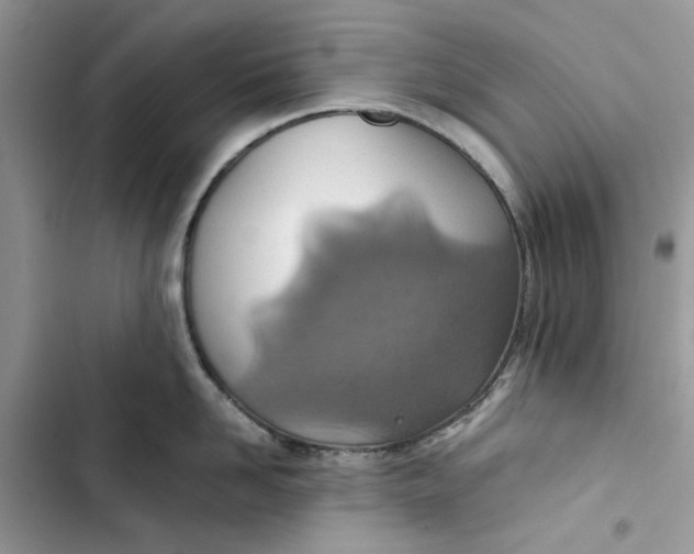 X0000103410958200810031243