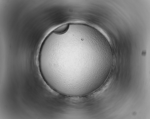 X0000103410959200810031243