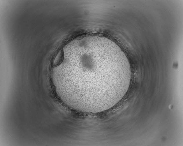 X0000103410961200810031242