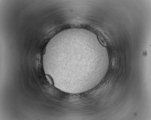 X0000103410964200810031242