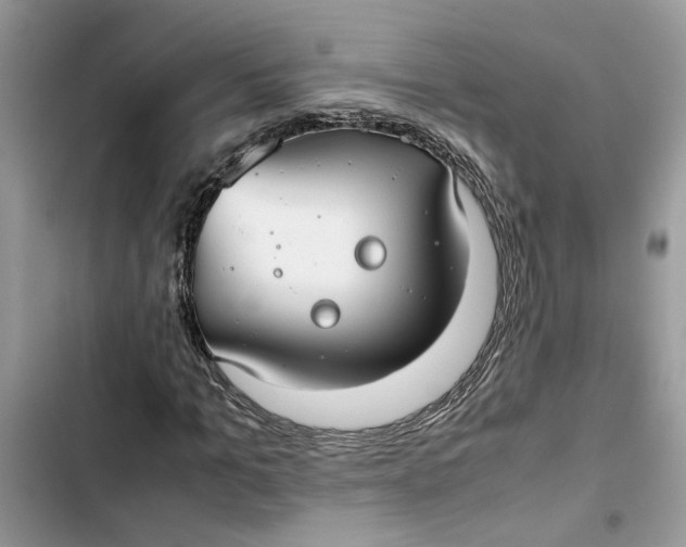 X0000103410965200810031242