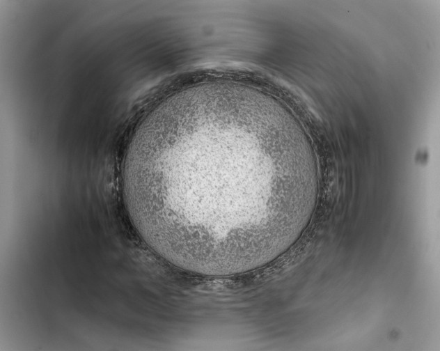 X0000103410966200810031242